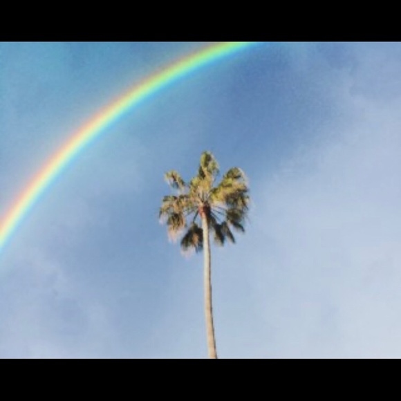 Meet your Posher, Kaya - Picture 5 of 5